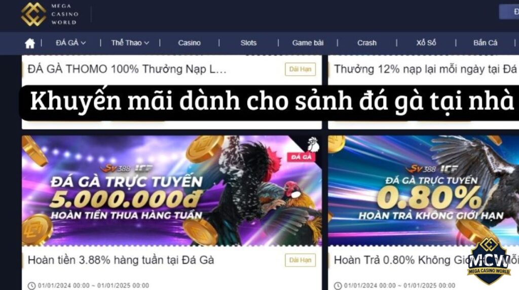 Giới thiệu tổng quan về MCW và chính sách khuyến mãi MCW