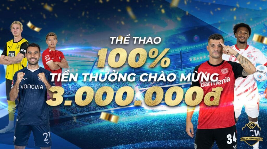 Những lỗi thường gặp khi đăng ký MCW